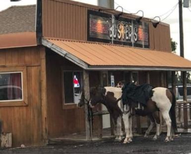 Horse at Busters